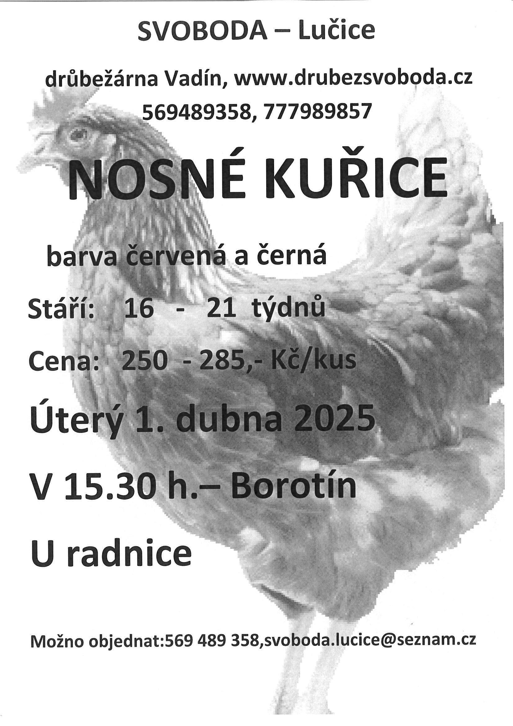 Prodej drůbeže