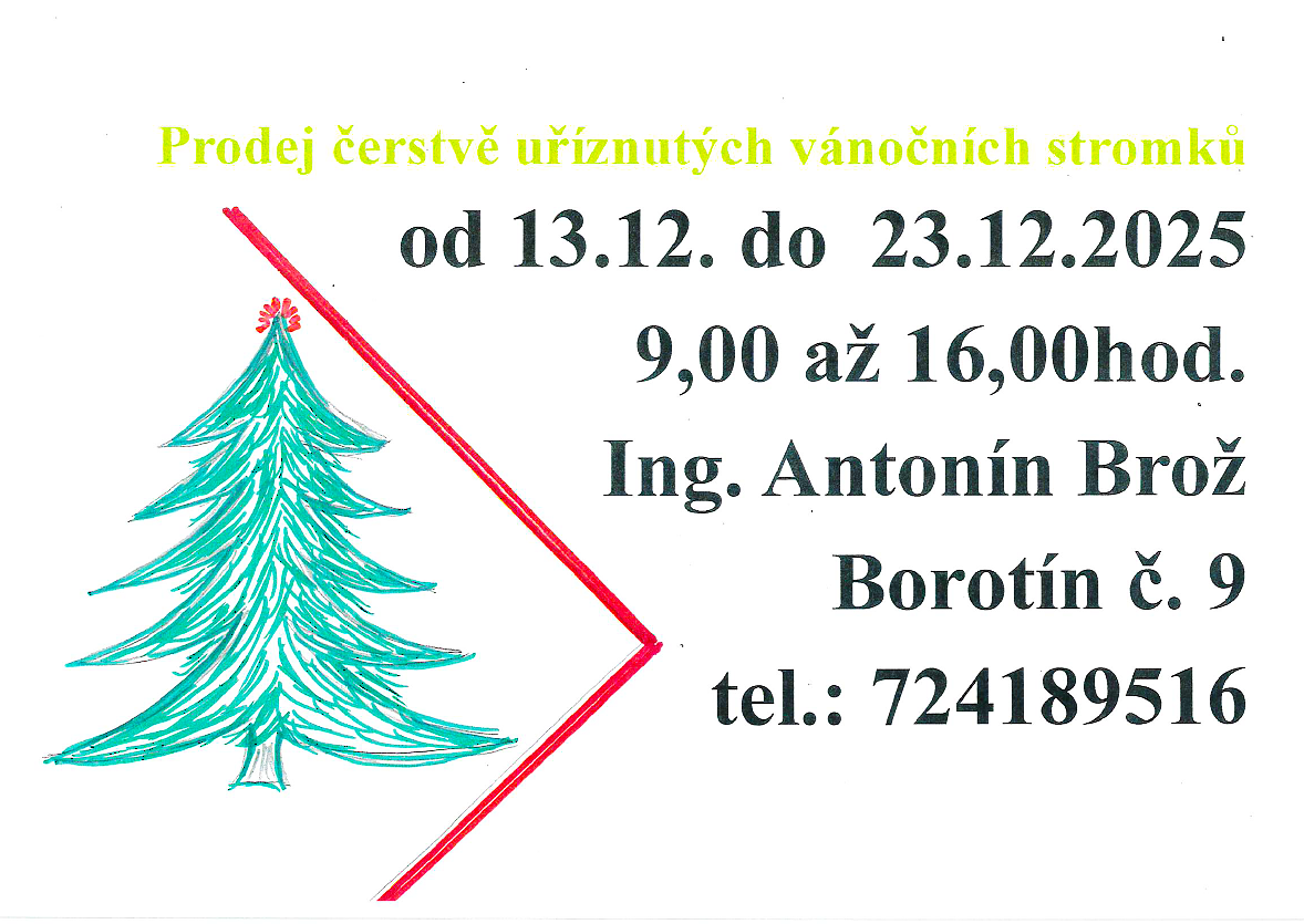 Prodej vánočních stromků