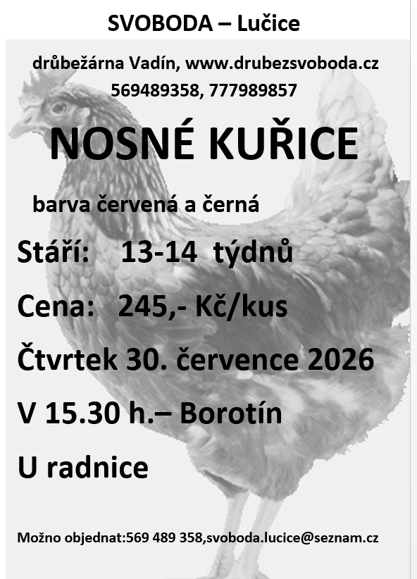 Prodej drůbeže
